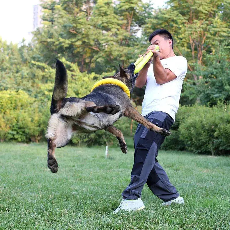 Interactive Dog Training Ring Puller Flying Discs Toy