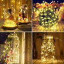 Solar Festoon Lights for Home
