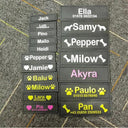 Reflective Dog ID Tag for Night Safety