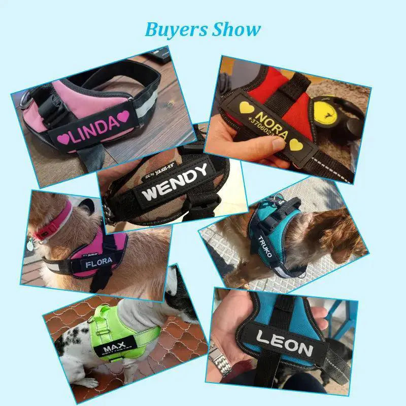 Custom Reflective Dog ID Tag Luminous Safety Labels