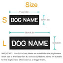 Reflective Dog ID Tag for Night Safety