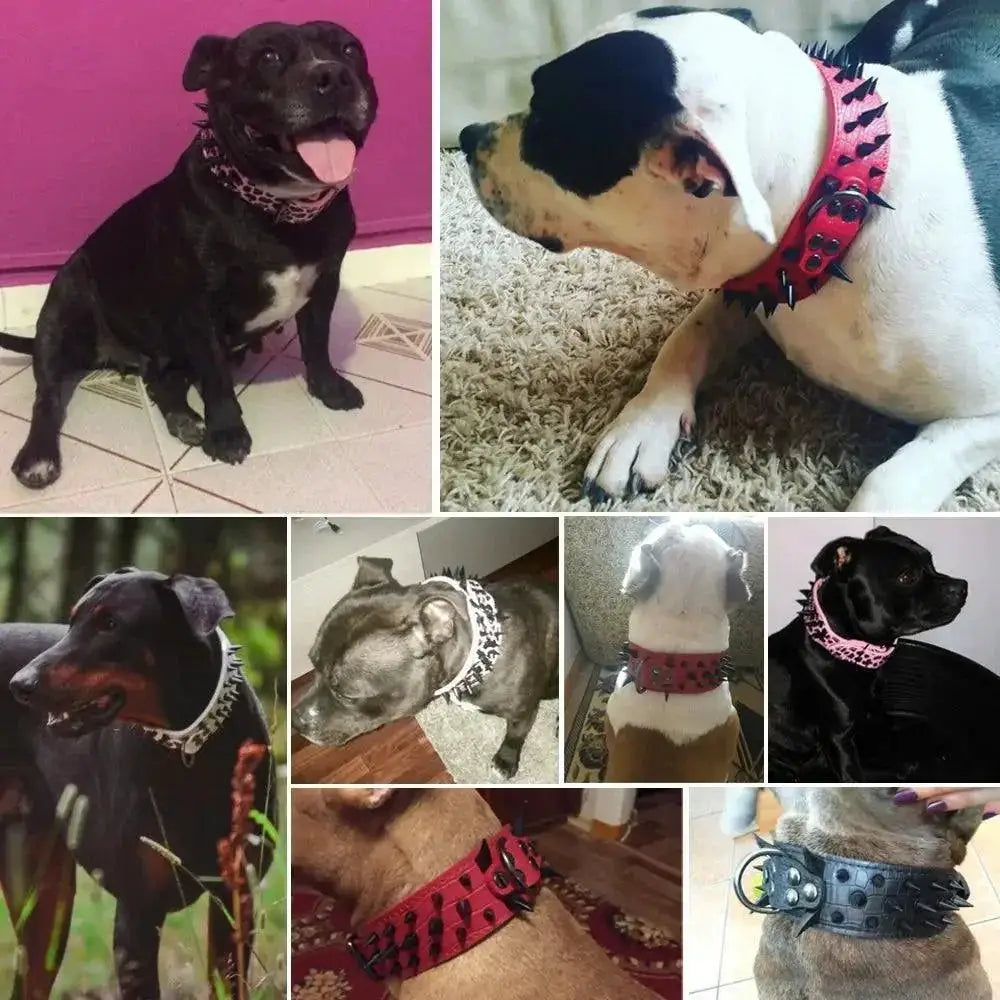 Premium Spiked Leather Dog Collar For Trendsetting Pets