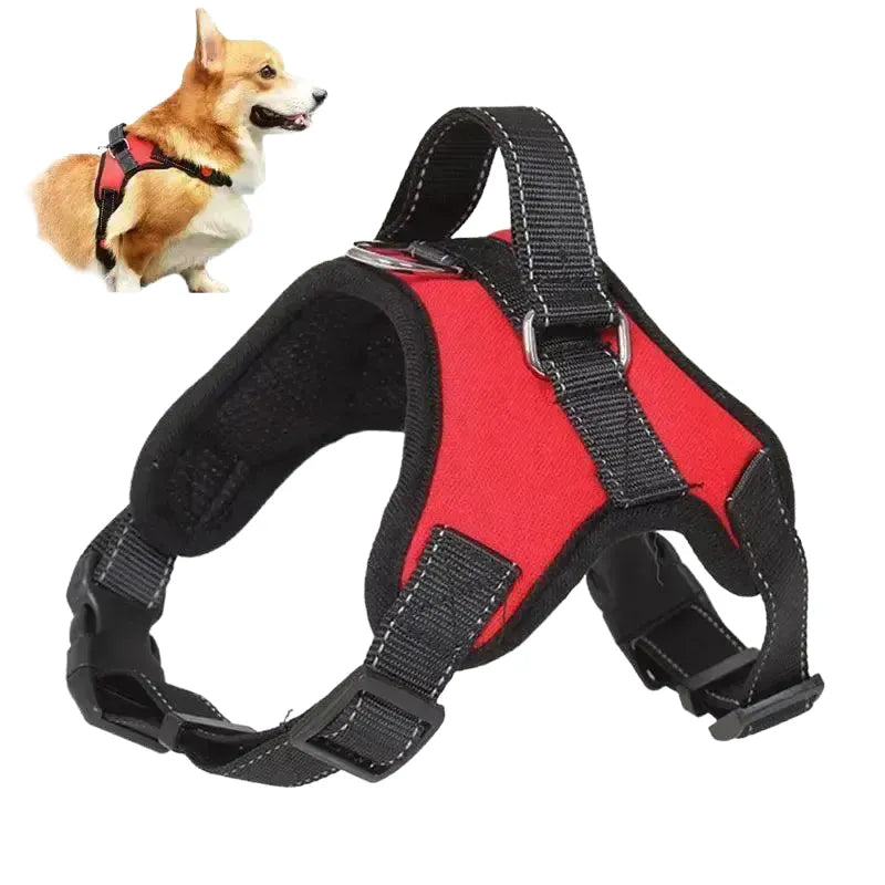 Reflective No Pull Harness for All Sizes — product view 1