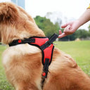 Reflective No Pull Harness for All Sizes