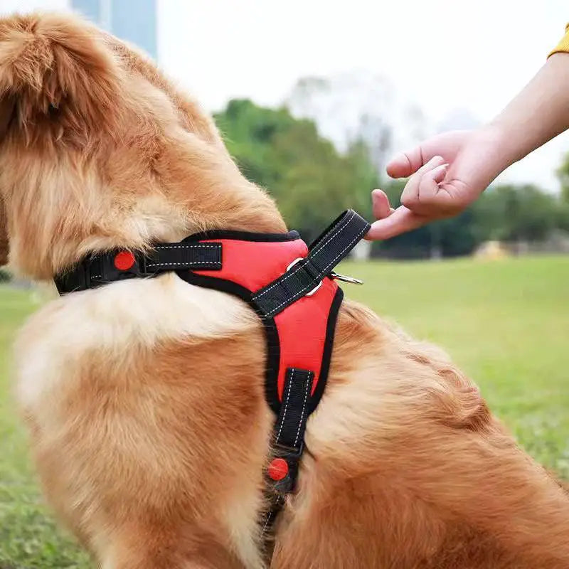 Reflective No Pull Dog Harness For All Sizes Training