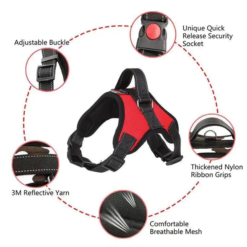 Reflective No Pull Dog Harness For All Sizes Training