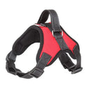 Reflective No Pull Harness for All Sizes