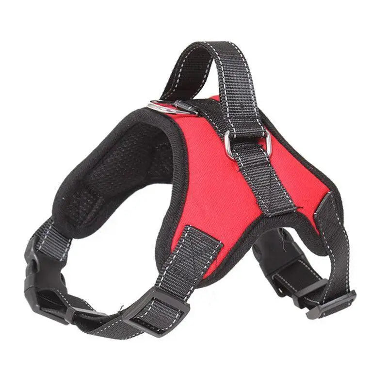 Reflective No Pull Harness for All Sizes — product view 9