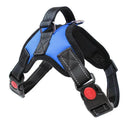 Reflective No Pull Harness for All Sizes