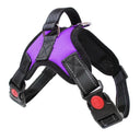 Reflective No Pull Harness for All Sizes
