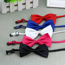 Adjustable Chic Bow Tie for Fashionable Pets Accessory