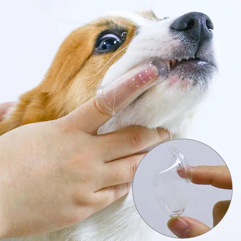 Pet Dental Finger Toothbrush For Cats And Dogs Fresh Breath