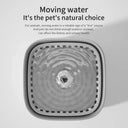 Cat Water Fountain For Fresh Hydration