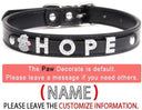 Rhinestone Charm Dog Collar Personalized Stylish Accessory
