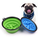 OurLume On The Go Foldable Dog Bowl