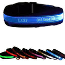 LED Pet Collar for Safe Night Walks