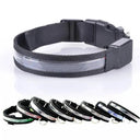 LED Pet Collar for Safe Night Walks