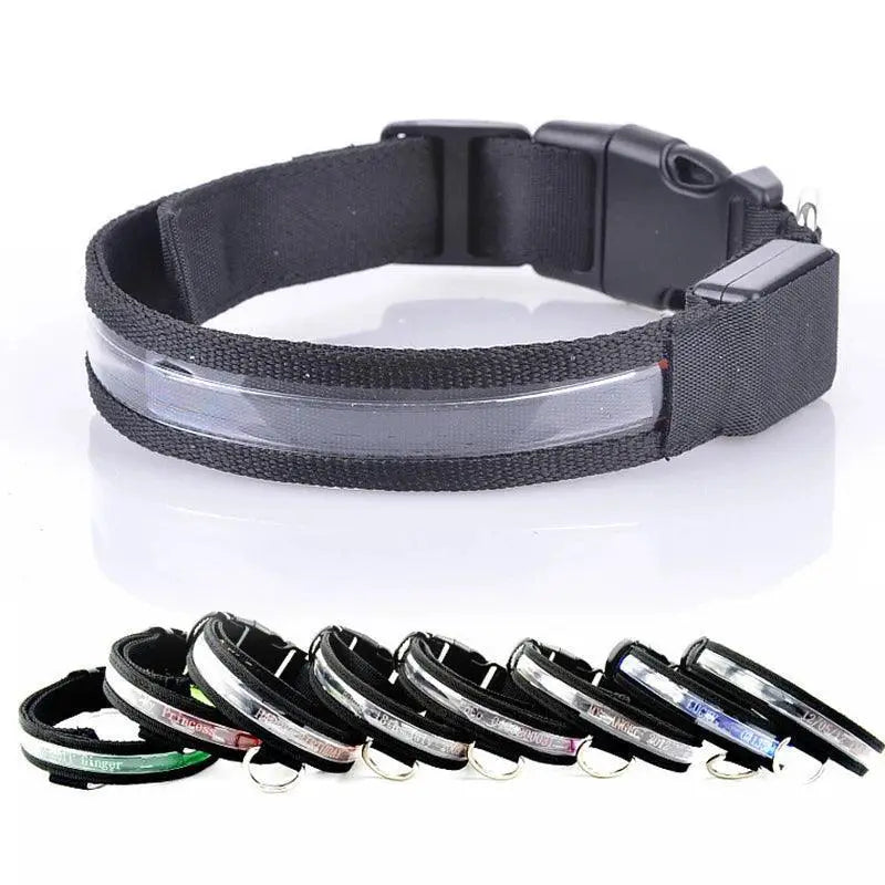 LED Light Up Nylon Pet Collar For Safe Outdoor Walks