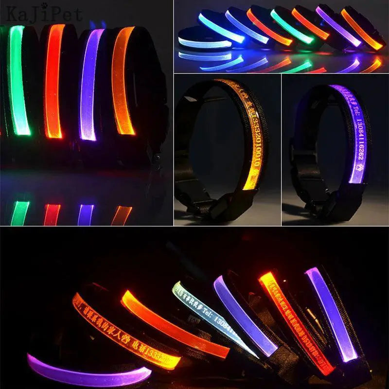 LED Light Up Nylon Pet Collar For Safe Outdoor Walks