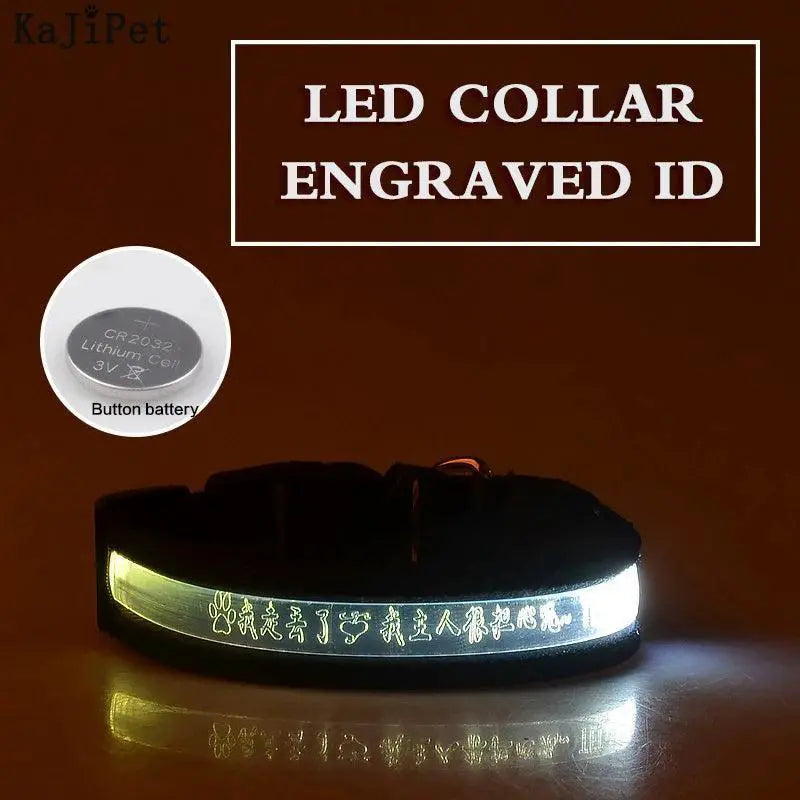 LED Light Up Nylon Pet Collar For Safe Outdoor Walks