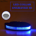 LED Light Up Nylon Pet Collar For Safe Outdoor Walks