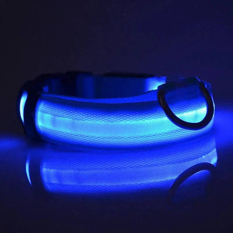 LED Glow Safety Dog Collar Bright Night Light for Pets