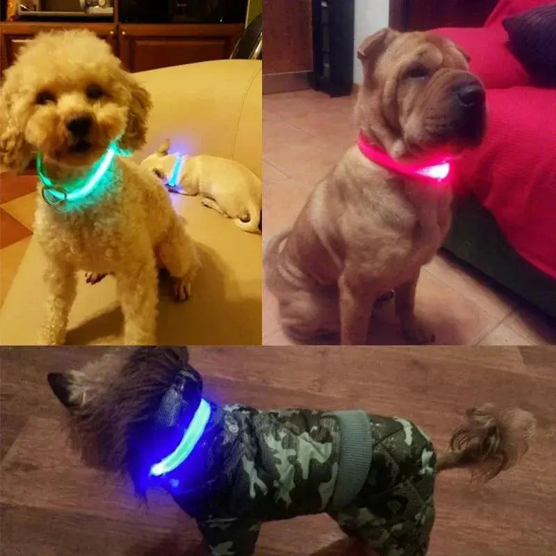 LED Glow Safety Dog Collar Bright Night Light for Pets