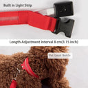 Safe Night Walks Led Glow Dog Collar