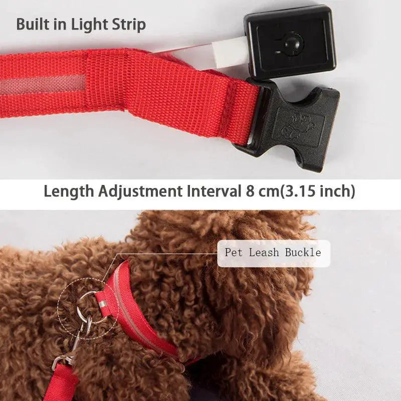 LED Glow Safety Dog Collar Bright Night Light for Pets