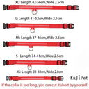 Safe Night Walks Led Glow Dog Collar