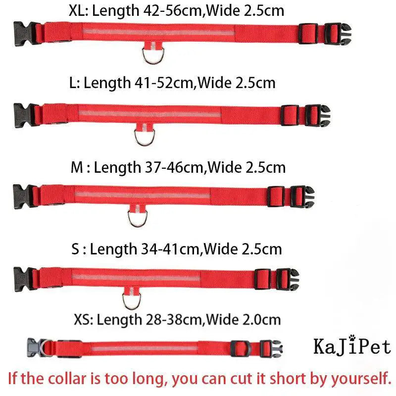 LED Glow Safety Dog Collar Bright Night Light for Pets