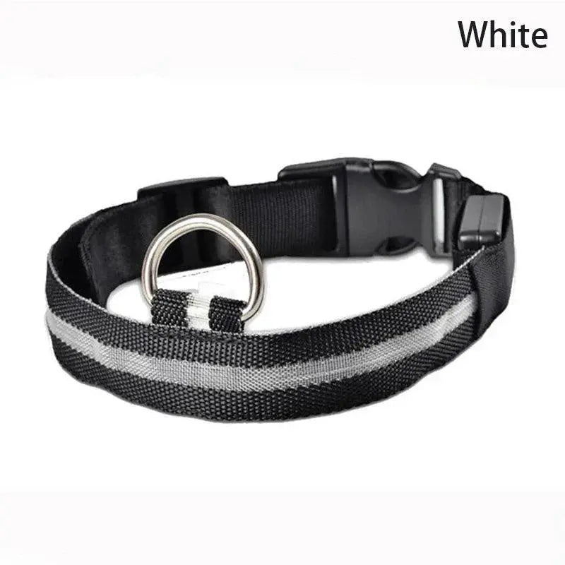 LED Glow Safety Dog Collar Bright Night Light for Pets