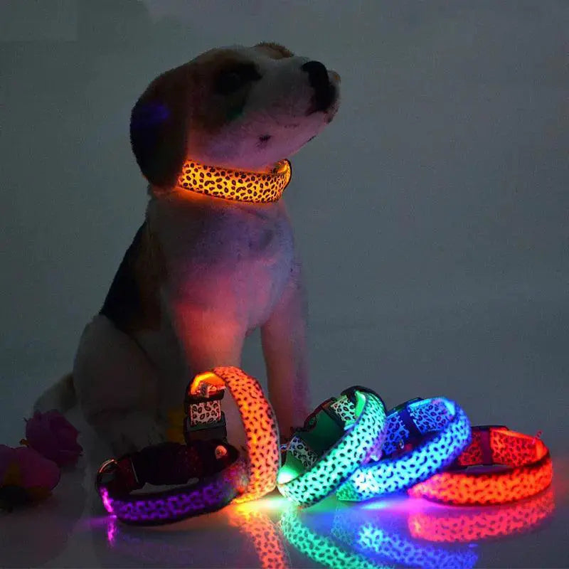 Leopard LED Dog Collar Night Safety And Visibility