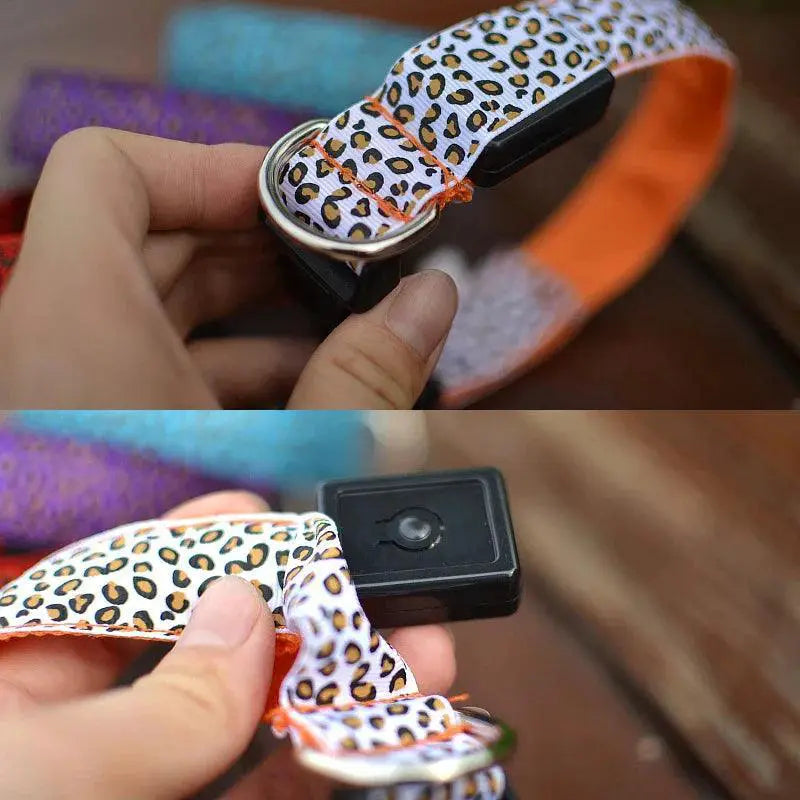Leopard LED Dog Collar Night Safety And Visibility