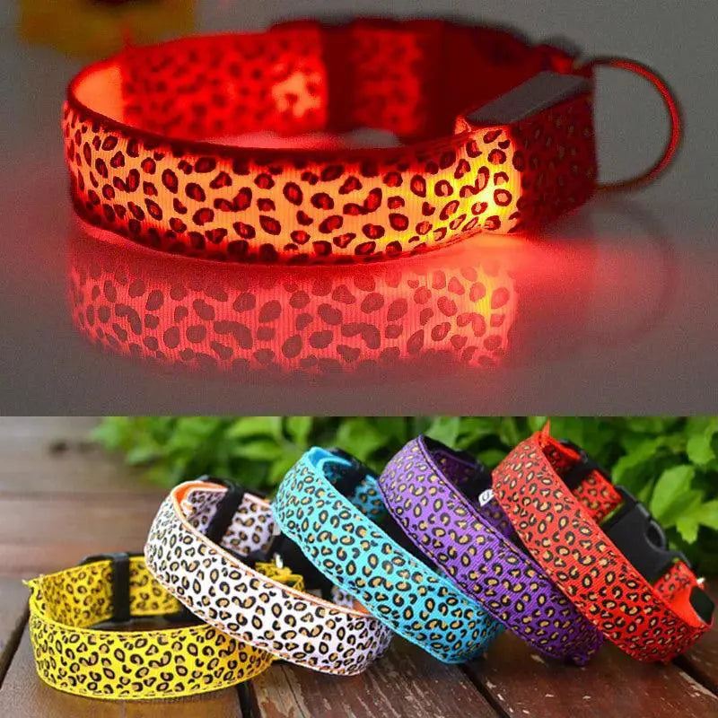 Leopard LED Dog Collar Night Safety And Visibility