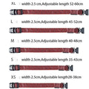Leopard LED Dog Collar for Night Safety