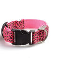 Leopard LED Dog Collar Night Safety And Visibility