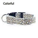 Leopard LED Dog Collar Night Safety And Visibility