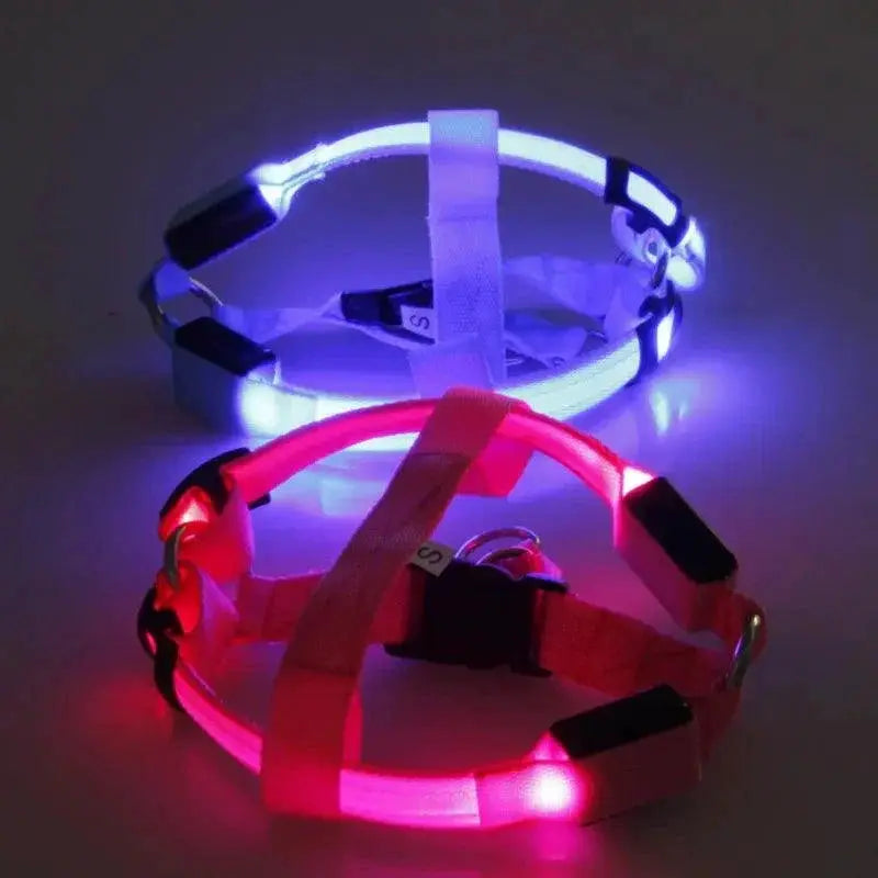 Luminous LED Dog Harness for Night Safety and Running