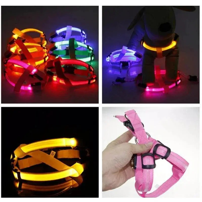 Luminous LED Dog Harness for Night Safety and Running