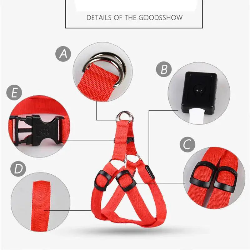 Luminous LED Dog Harness for Night Safety and Running