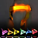 Night LED Dog Harness for Safer Walks