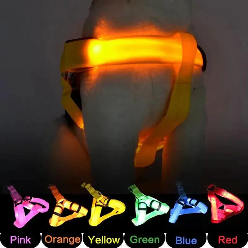Luminous LED Dog Harness for Night Safety and Running
