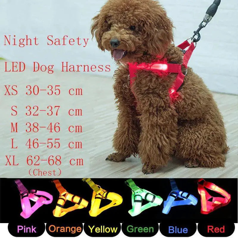 Luminous LED Dog Harness for Night Safety and Running