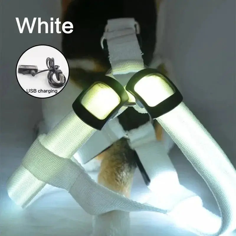 Luminous LED Dog Harness for Night Safety and Running