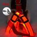 Luminous LED Dog Harness for Night Safety and Running
