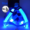 Luminous LED Dog Harness for Night Safety and Running