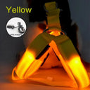 Luminous LED Dog Harness for Night Safety and Running