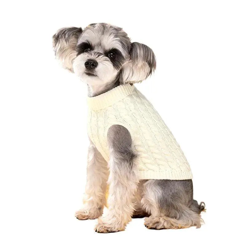 Winter Cozy Turtleneck Dog Sweater For Small Dogs Warm