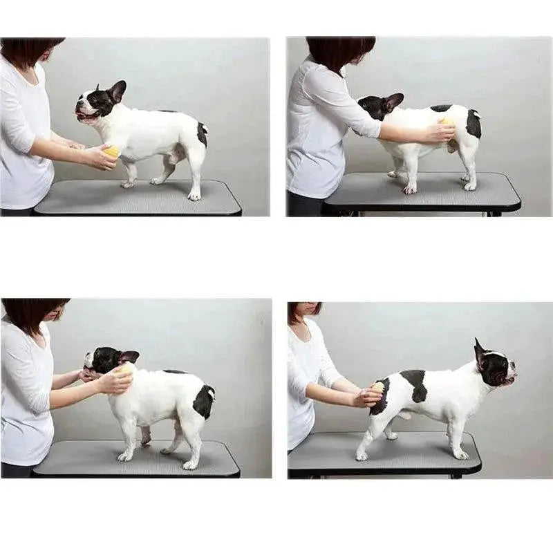 Pet Massage Brush And Cat Dog Grooming Tool Kit Silicone